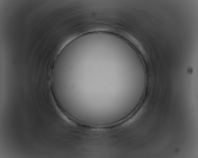 X0000101961377200807180652