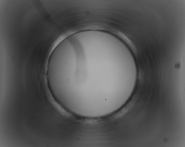 X0000101961378200807180652