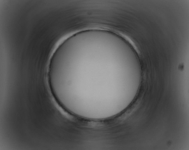 X0000101961379200807180652