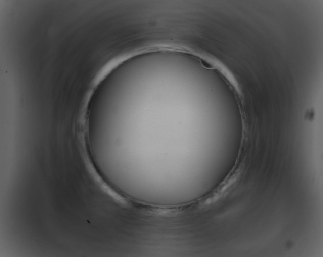 X0000101961381200807180652