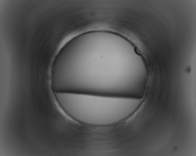 X0000101961382200807180652