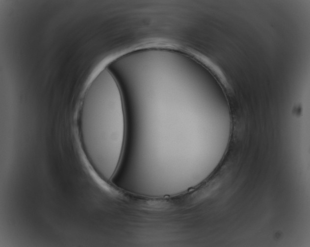X0000101961383200807180652