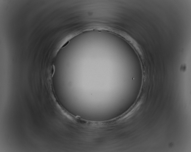 X0000101961385200807180652
