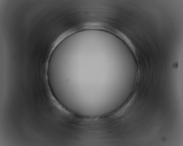 X0000101961386200807180652