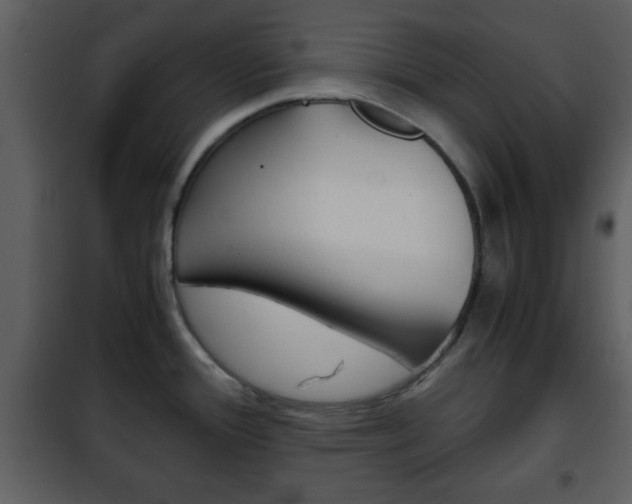 X0000101961388200807180652