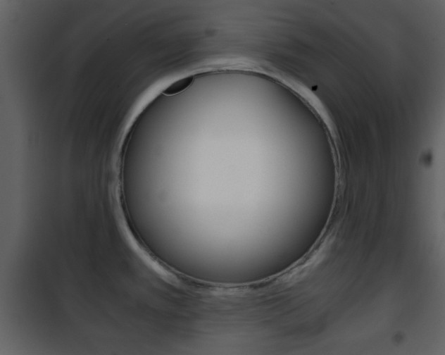 X0000101961389200807180652