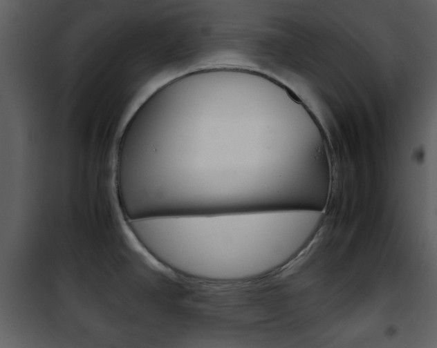 X0000101961390200807180652