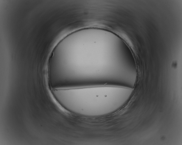 X0000101961391200807180652