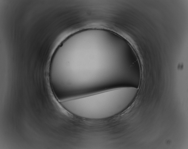 X0000101961392200807180652
