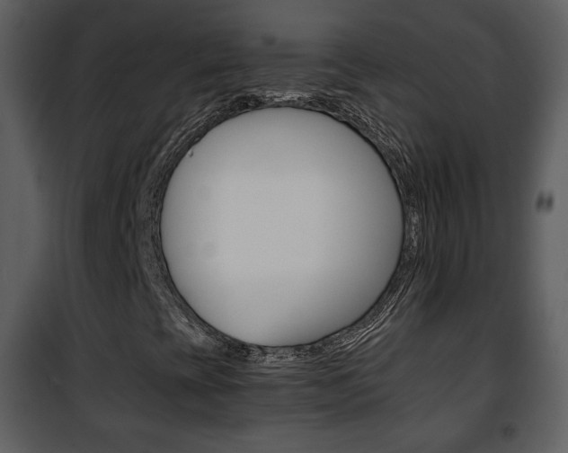 X0000101961393200807180651