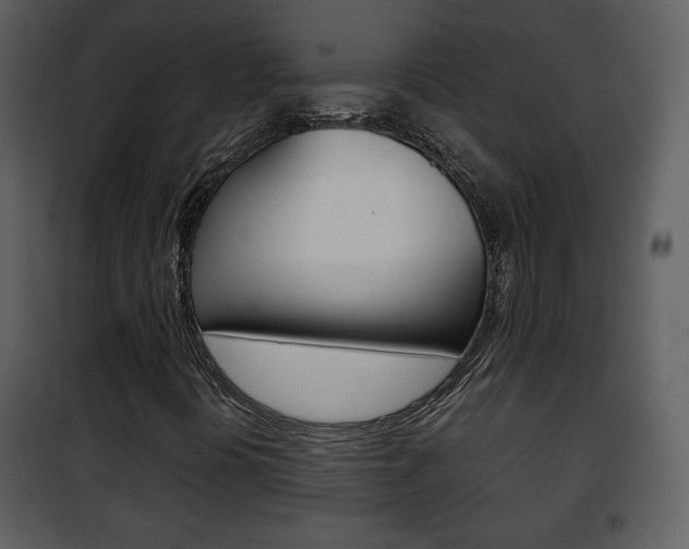 X0000101961394200807180651