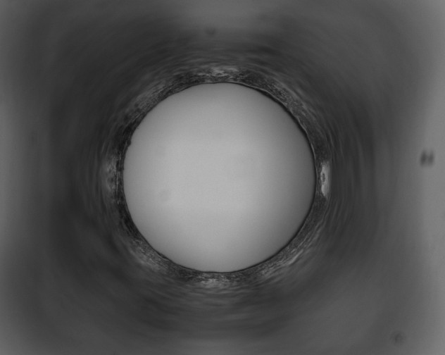 X0000101961395200807180651