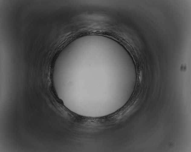 X0000101961396200807180651