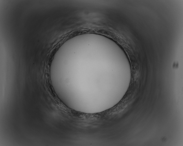 X0000101961397200807180651