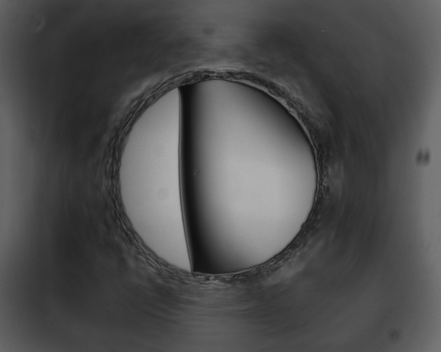 X0000101961398200807180651