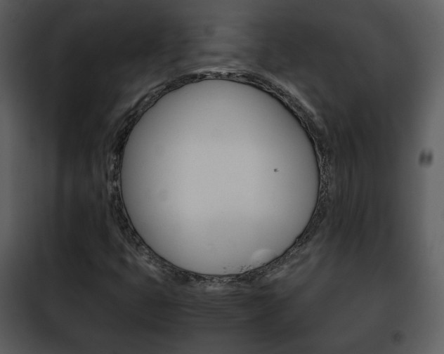 X0000101961399200807180651