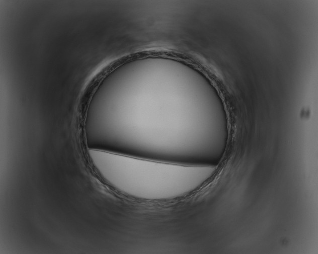 X0000101961400200807180651