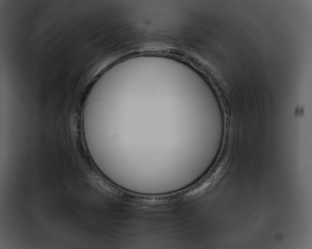 X0000101961401200807180651