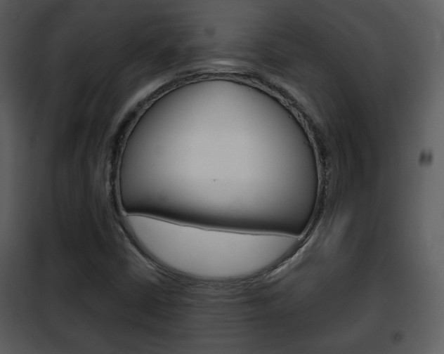 X0000101961402200807180651