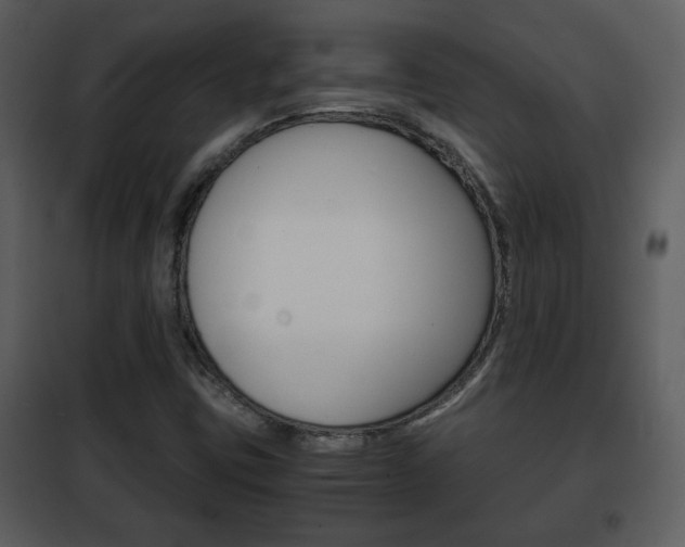 X0000101961403200807180651