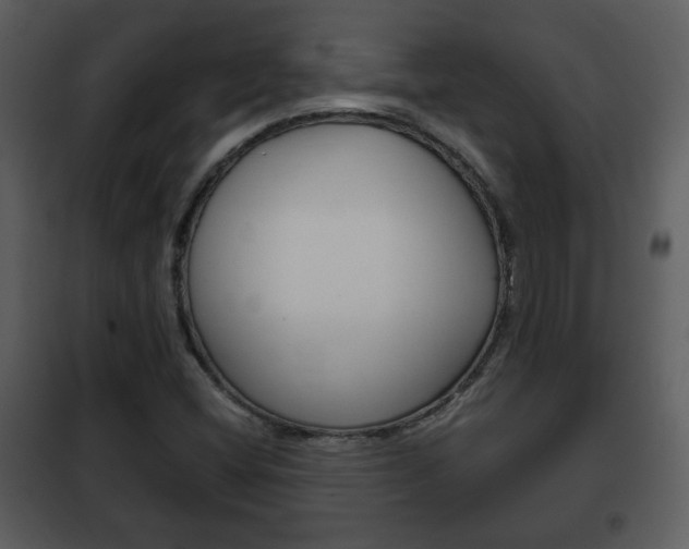 X0000101961404200807180651