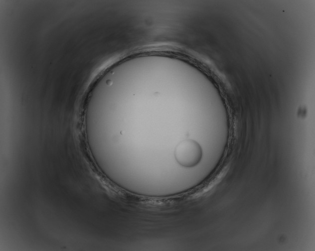 X0000101961405200807180651