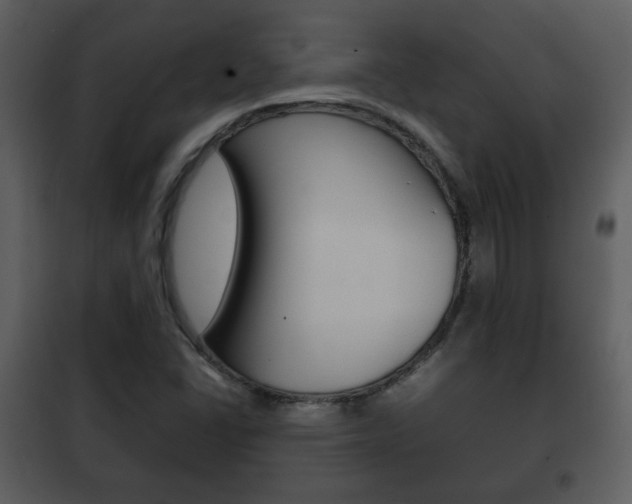 X0000101961406200807180651