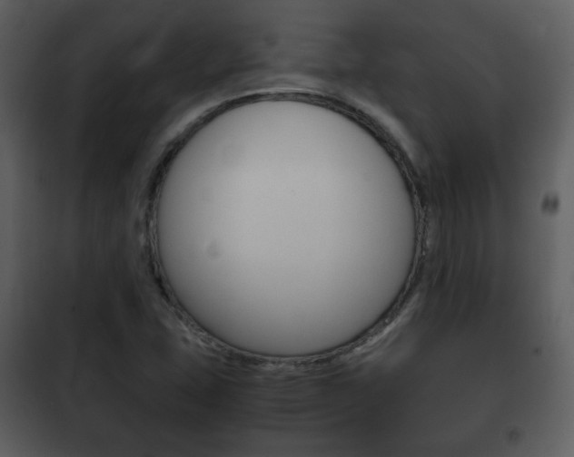 X0000101961407200807180651