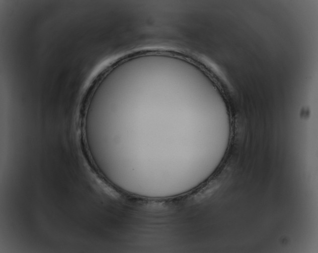X0000101961408200807180651