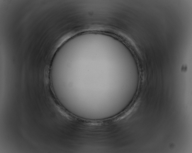 X0000101961409200807180651