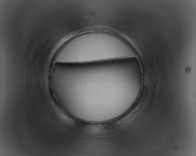 X0000101961410200807180651
