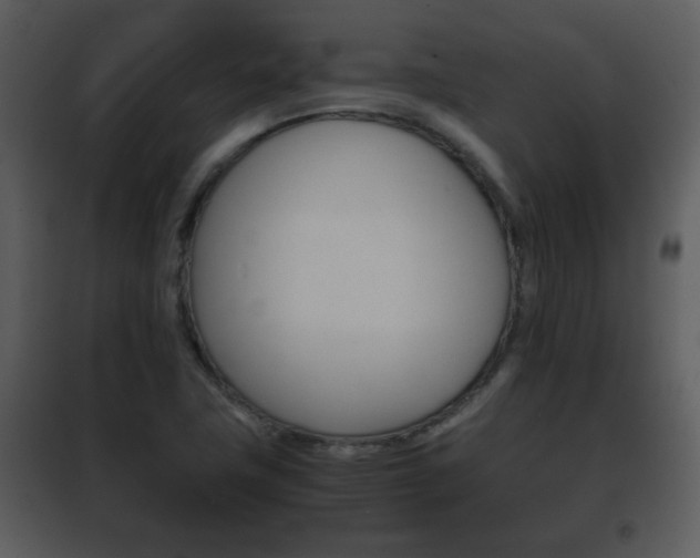 X0000101961411200807180651
