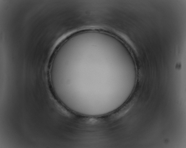 X0000101961412200807180651