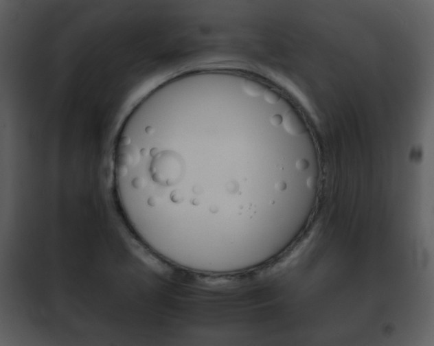 X0000101961413200807180651