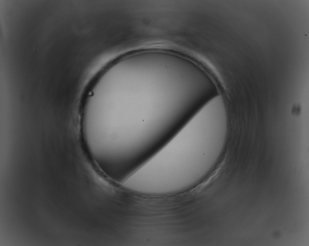 X0000101961414200807180651