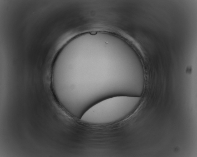 X0000101961415200807180651