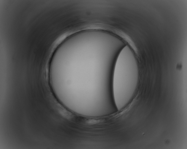 X0000101961419200807180651