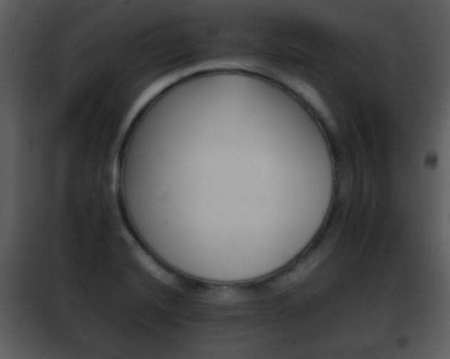 X0000101961420200807180651