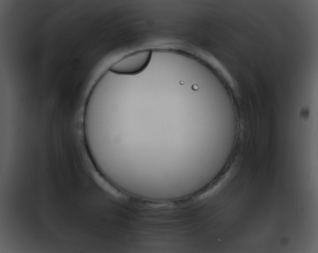 X0000101961421200807180651