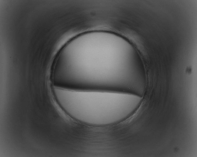 X0000101961422200807180651