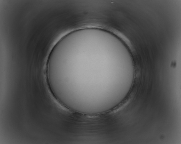 X0000101961423200807180651