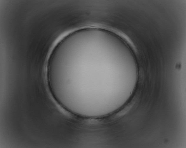 X0000101961424200807180651