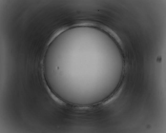 X0000101961425200807180651