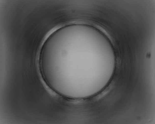 X0000101961426200807180652