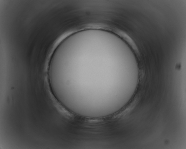 X0000101961427200807180652