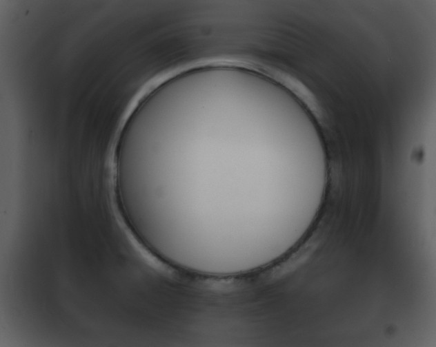 X0000101961428200807180652