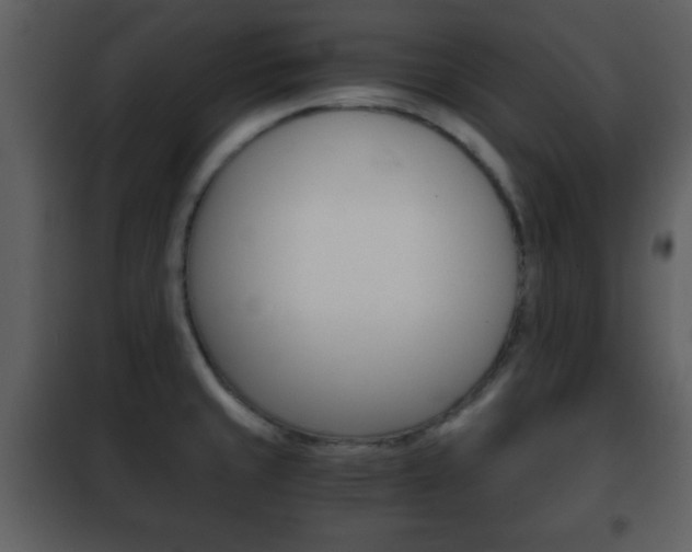 X0000101961429200807180652