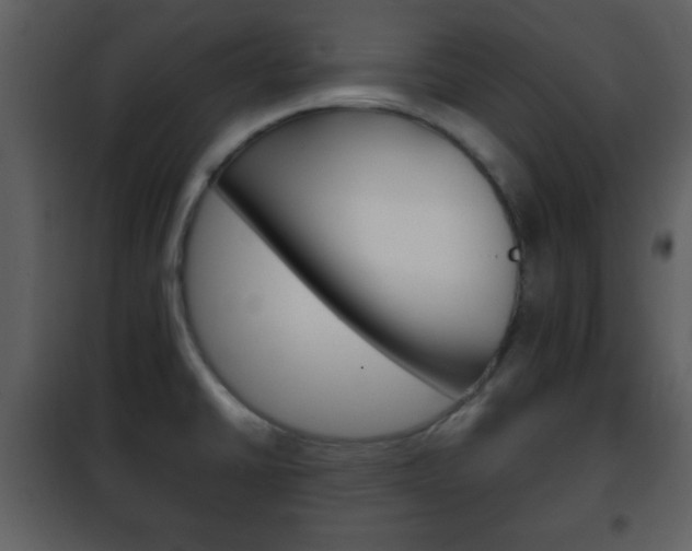 X0000101961430200807180652
