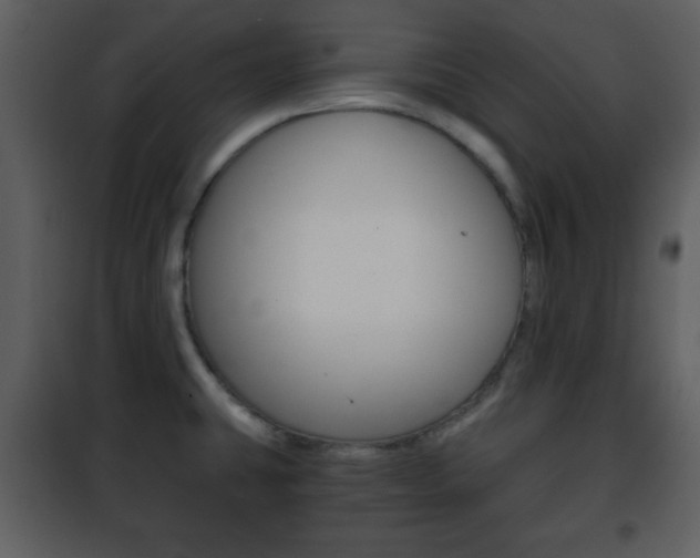 X0000101961431200807180652