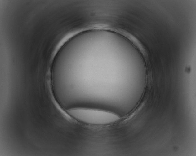 X0000101961432200807180652